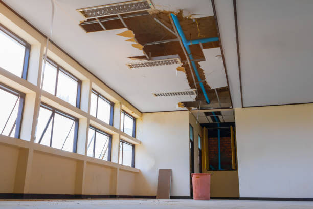 Best Water damage cleanup near me  in Cumberland Hill, RI