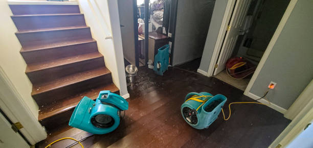 Best Residential water damage restoration  in Cumberland Hill, RI