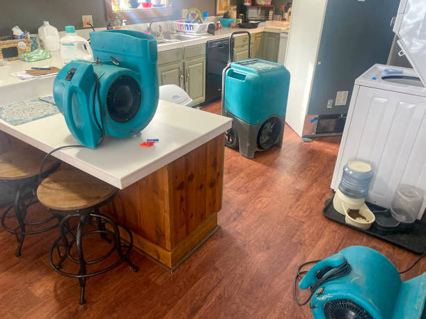 Best Mold removal after water damage  in Cumberland Hill, RI