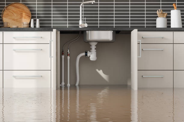 Best Basement water damage restoration  in Cumberland Hill, RI