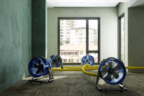 Best Emergency water damage restoration  in Cumberland Hill, RI